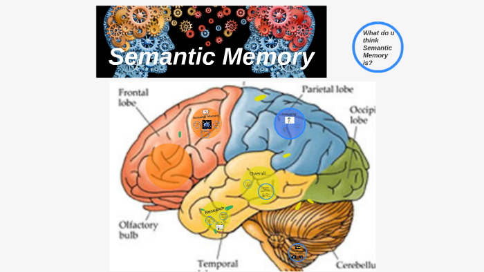 Semantic Memory By Mohnish Mulgi On Prezi