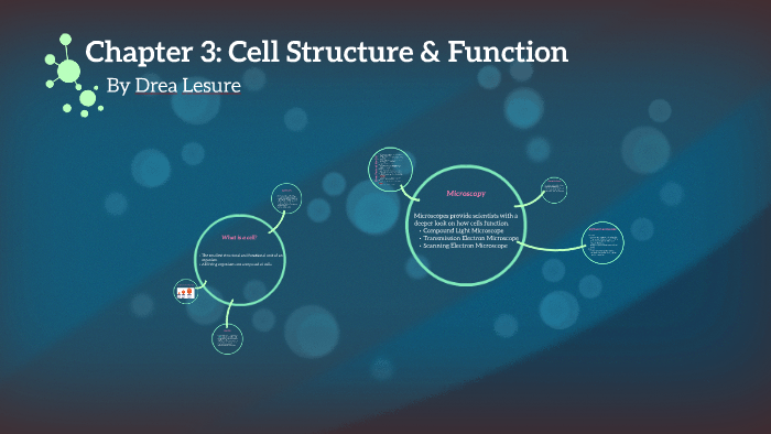 Chapter 3: Cell Structure & Function by Drea Lesure on Prezi