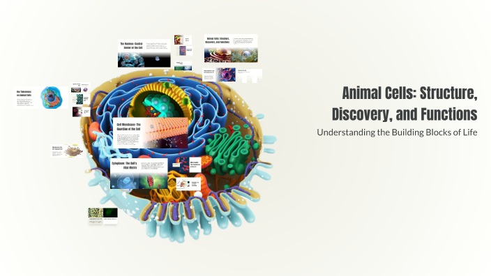 Animal Cells: Structure, Discovery, and Functions by Venice Lingad on Prezi