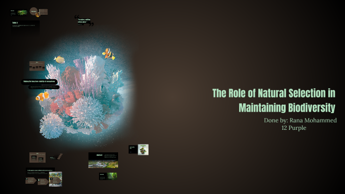 The Role of Natural Selection in Maintaining Biodiversity by 17031-Rana ...