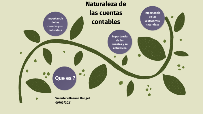 Naturaleza De Las Cuentas Contables By Vicente Villasana On Prezi