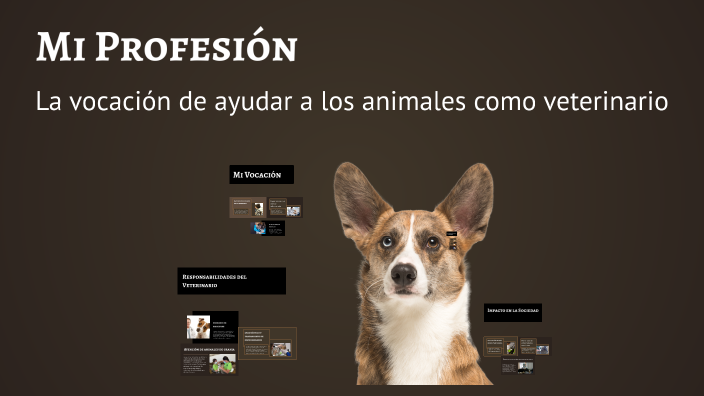 Mi Profesión by SANTIAGO RODRIGUEZ BUITRAGO on Prezi