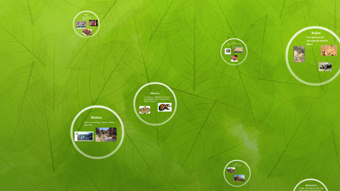 Simple Machines by Raegan Anderson on Prezi