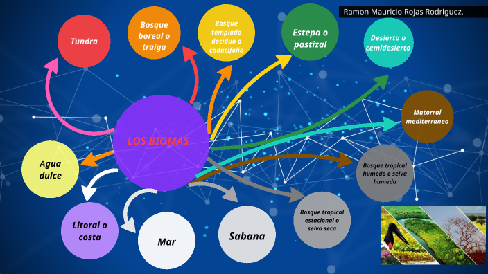 los Biomas by Ramon Mauricio Rojas Rodríguez on Prezi