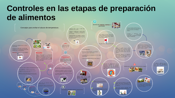 Parte Ii Controles En Las Etapas De Preparación De Alimentos By Mariscia Chaverri 5347