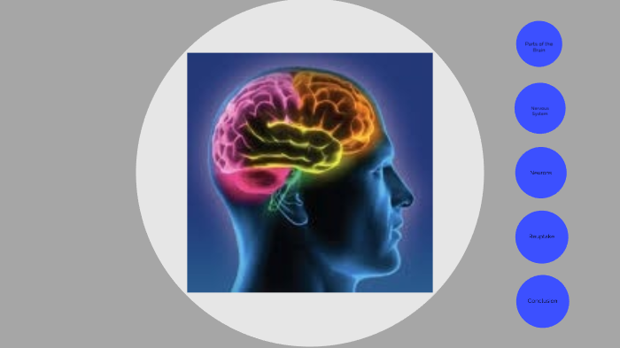 Digital Brain Project by Payton Hanson on Prezi