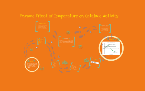 Enzyme Effect of the Temperature on Catalase Activity by Mark Robinson ...