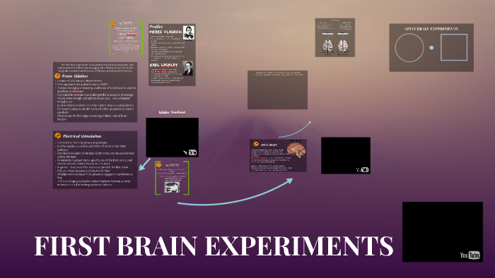 first brain experiments