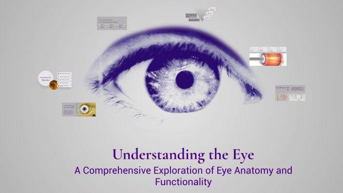 Understanding the Eye by Eli Douek on Prezi