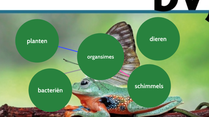 biologie voor jou mindmap by bbraman . on Prezi