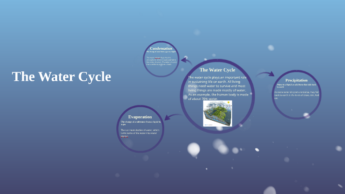 The Water Cycle by Jasmine Low on Prezi