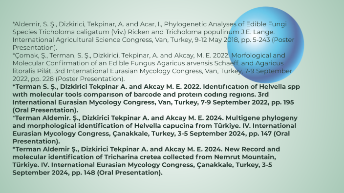 Şuheda Terman Doktora Tez Savunma Sunumu by Şuheda Aldemir on Prezi