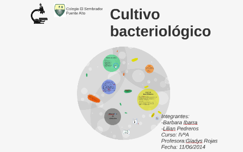 Cultivo bacteriológico by lili pedreros on Prezi