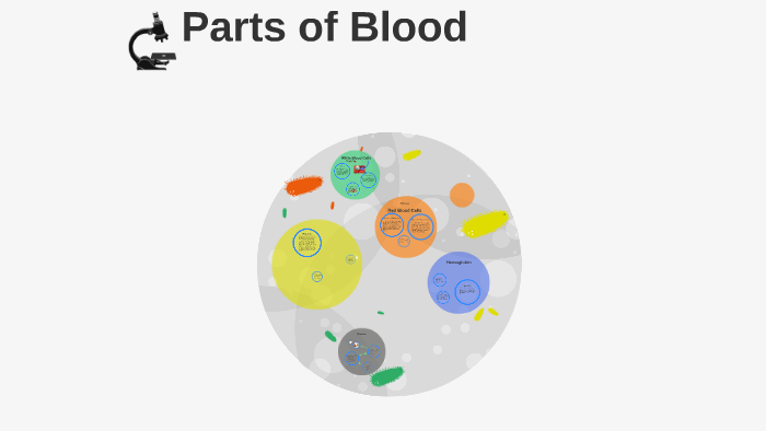 What Are The Solid Parts Of Blood Called