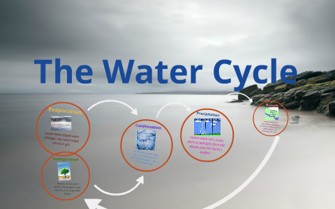 The Water Cycle by Melissa Koehler on Prezi