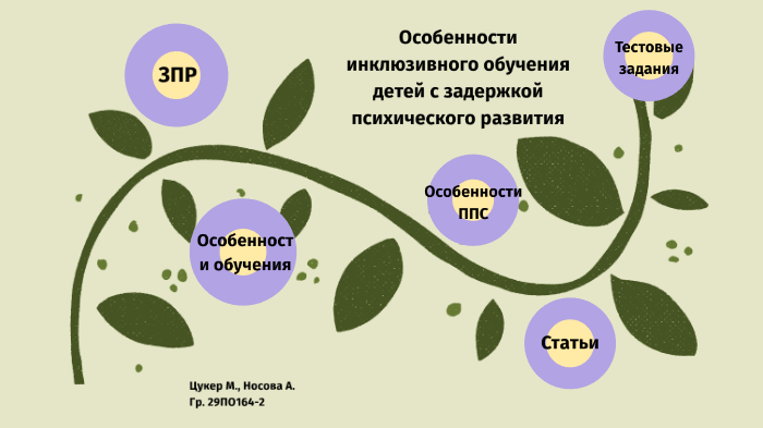 Инклюзивное образование детей с зпр презентация