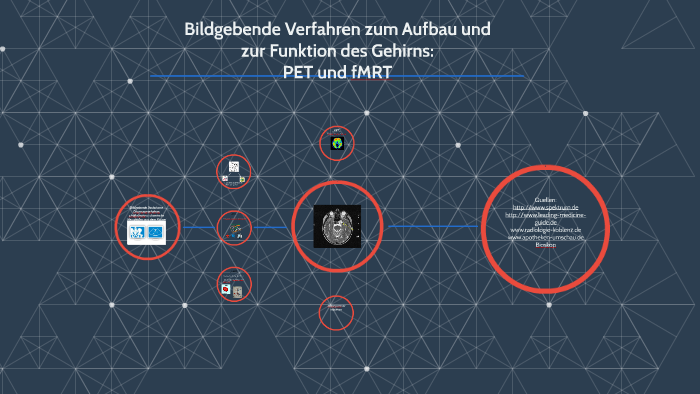 Bildgebende Verfahren Zum Aufbau Und Zur Funktion Des Gehirn By ...