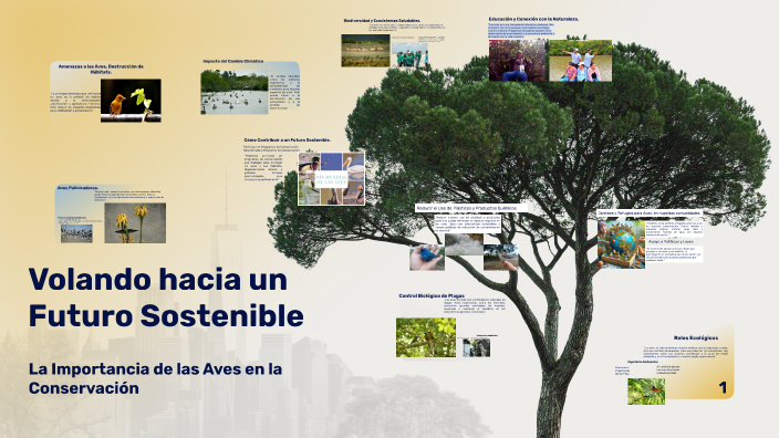 Volando hacia un Futuro Sostenible by José María Hermida Castro on Prezi