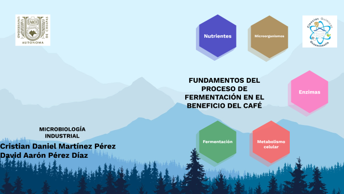FUNDAMENTOS DEL PROCESO DE FERMENTACIÓN EN EL BENEFICIO DEL CAFÉ by