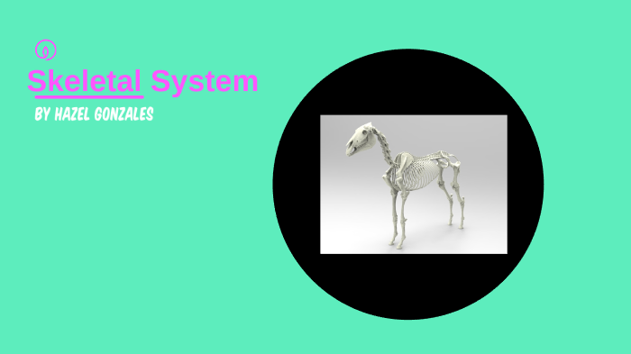 Skeletal System Prezi by Hazel Gonzales on Prezi