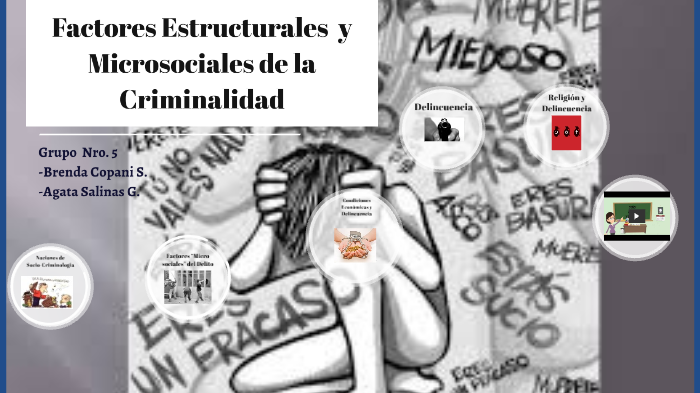 Factores Estructurales y Microsociales de la Criminalidad by Agata