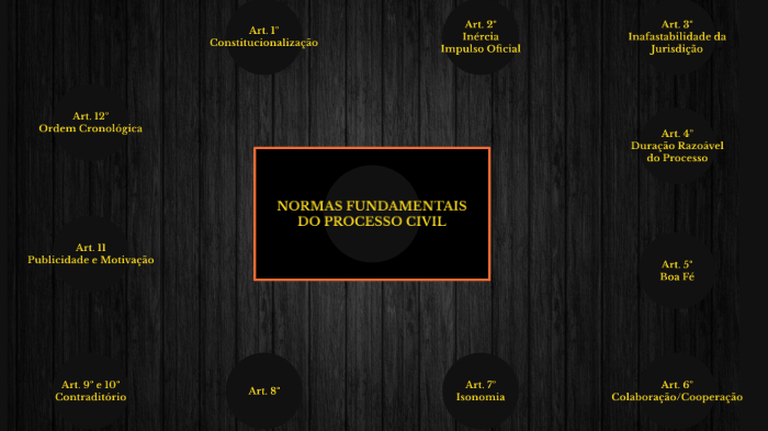 Normas Fundamentais Do Processo Civil By Guilherme Saling