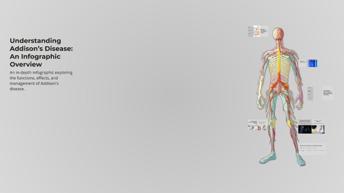 Understanding Addison’s Disease: An Infographic Overview by Danika S on ...