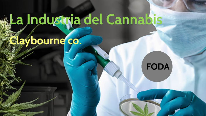 La Industria Del Cannabis By On Prezi