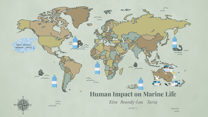 human-impact-on-marine-life-by-tariq-junaid-on-prezi