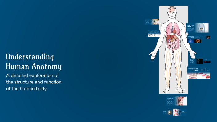 Understanding Human Anatomy by Bold Bold on Prezi
