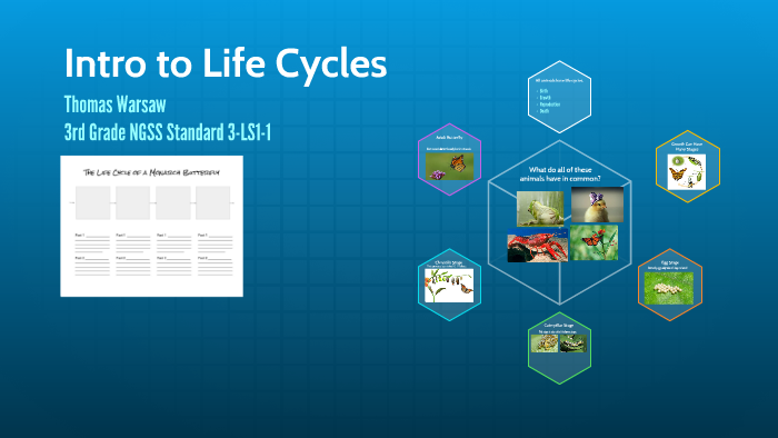 Intro to Life Cycles by on Prezi