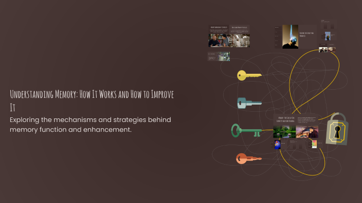 Understanding Memory: How It Works and How to Improve It by Samantha ...
