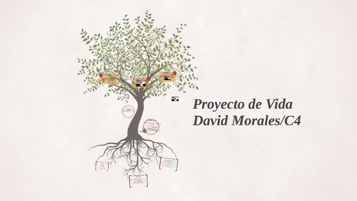Proyecto de Vida by David Morales Alvarado on Prezi