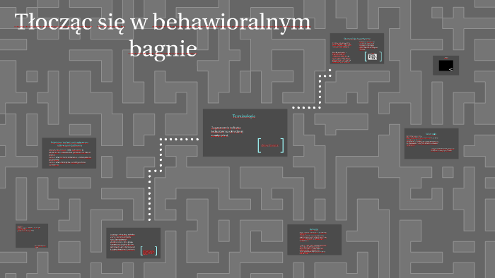 Behavioral sink by Wojciech Durski on Prezi