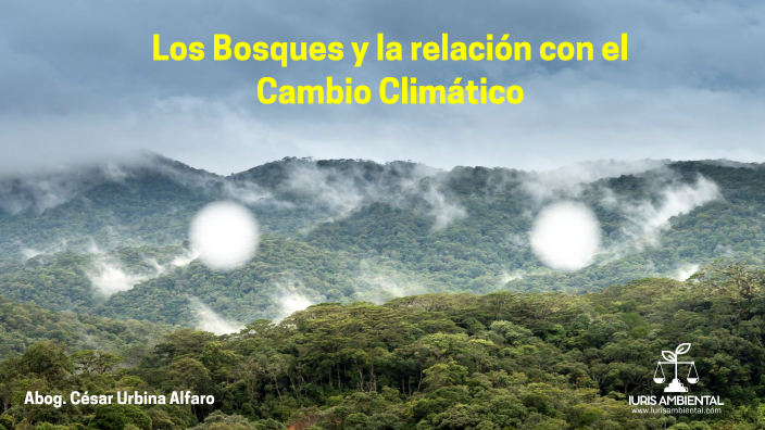 Bosques Y Cambio Climático By César Urbina On Prezi