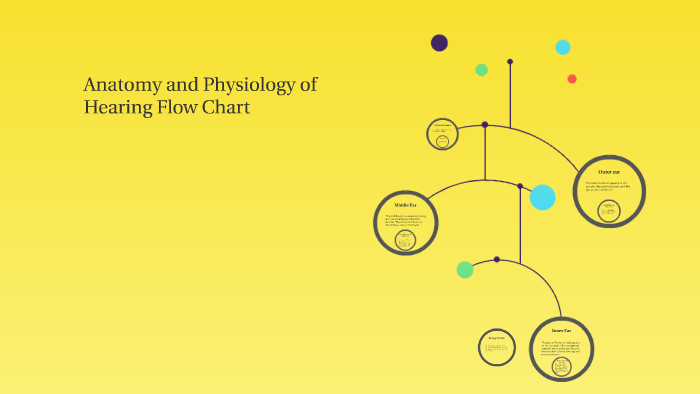 Physiology Flow Charts