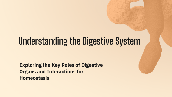 Understanding the Digestive System by Ghøst on Prezi