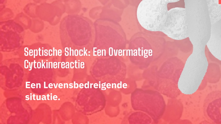 Septische Shock: Een Overmatige Cytokinereactie by Danique Guit