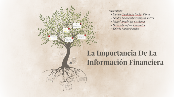 La Importancia De La Informacion Financiera by Blanca Gpe Nuñez on Prezi