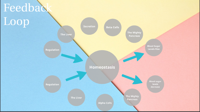 Feedback Loop by Arely Mancilla on Prezi