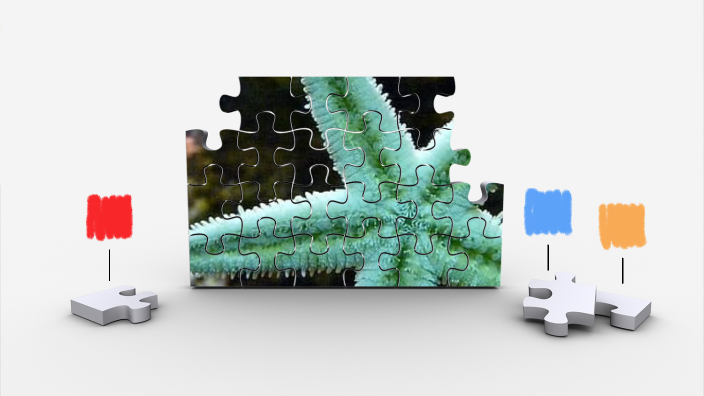 szkar-upnie-by-hanna-matysiewicz-on-prezi