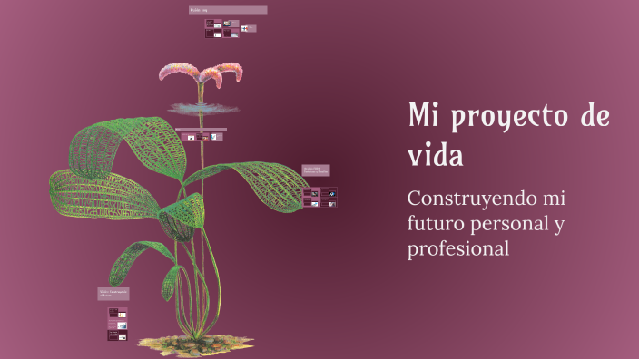 Mi proyecto de vida by Andrea Gutiérrez on Prezi
