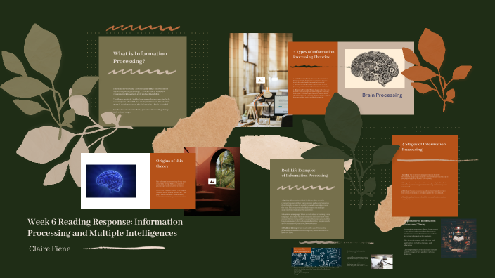 Week 6 Reading Response: Information Processing and Multiple ...