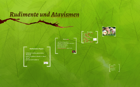 Rudimente und Atavismen by Cathi He on Prezi