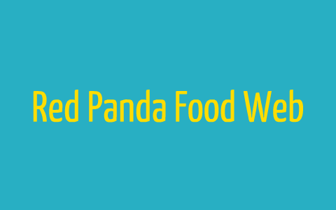 Red Panda Food Web by Lexi Ford on Prezi