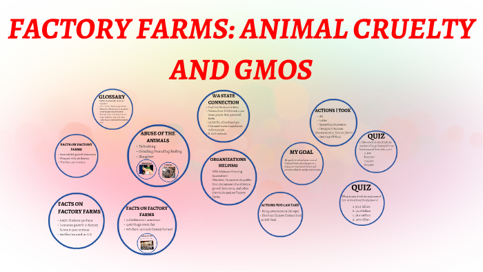 FACTORY FARMS; ANIMAL CRUELTY AND GMOS by Anabel Magee