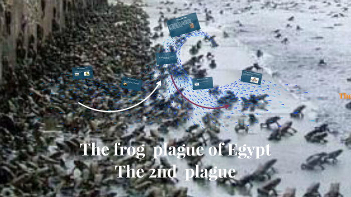 The frog plague of Egypt by Haon Park on Prezi