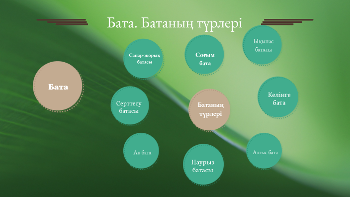Бата түрлері by Балжан Сарымсақ on Prezi