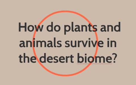 How do plants and animals survive in the desert biome? by Lex Dupley on  Prezi Next