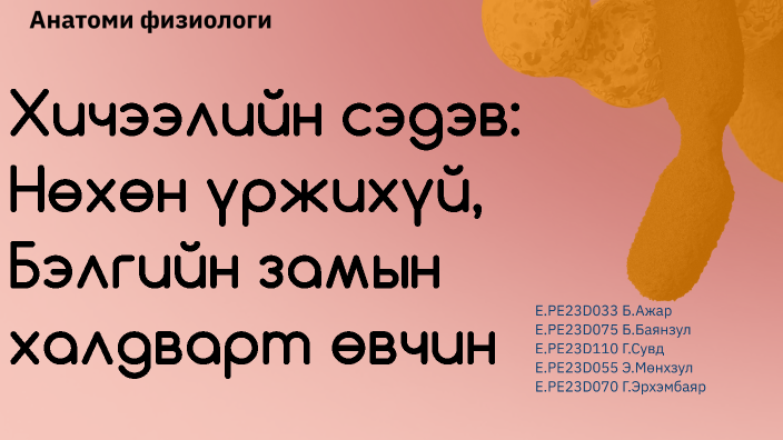 нөхөн үржихүй by ashkoy ajar on Prezi